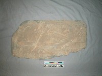 藏品(硬厚板棺殘片)的圖片